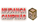 Mudanças Campinas